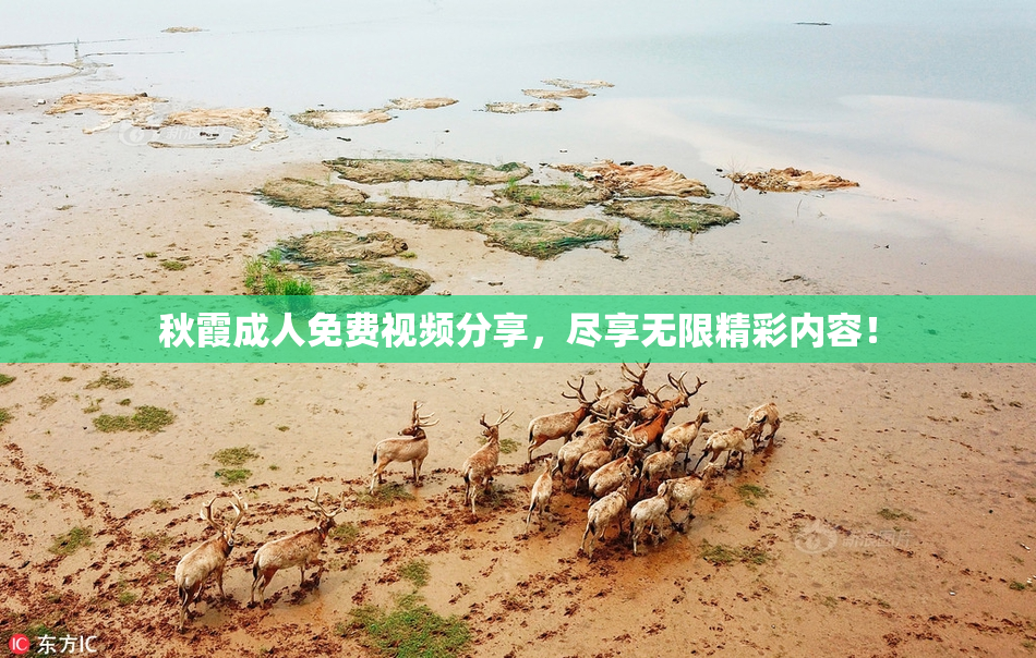 秋霞成人免费视频分享，尽享无限精彩内容！