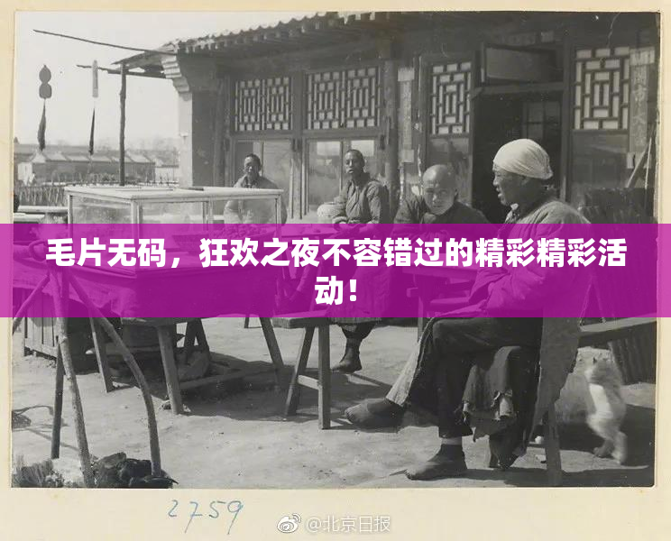 毛片无码，狂欢之夜不容错过的精彩精彩活动！