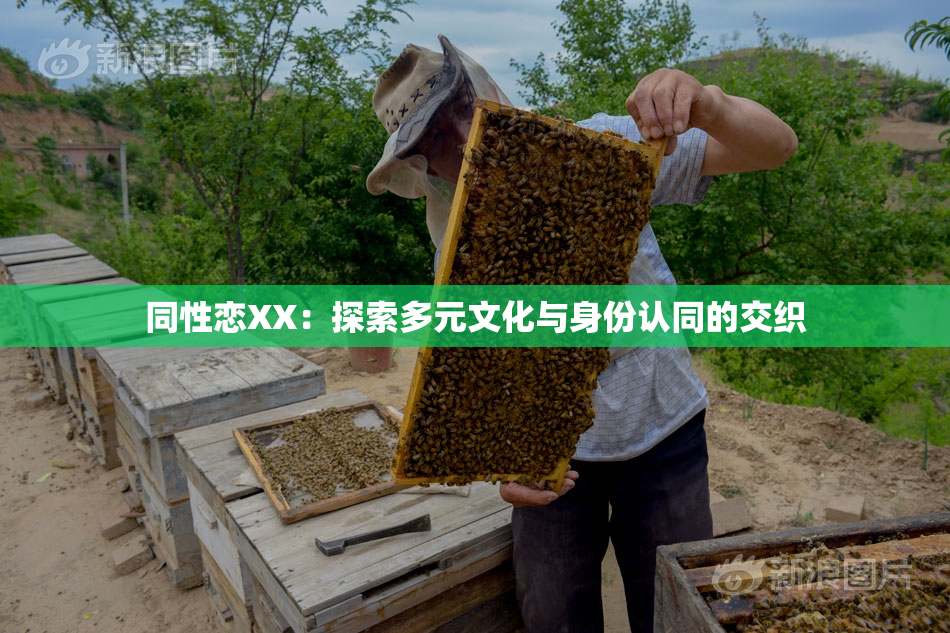 同性恋XX：探索多元文化与身份认同的交织
