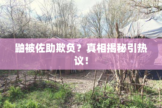 鼬被佐助欺负？真相揭秘引热议！