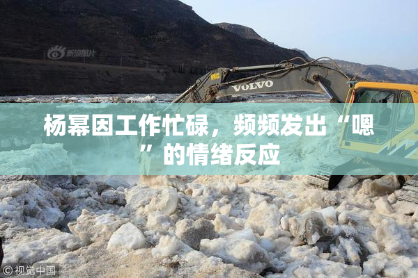 杨幂因工作忙碌，频频发出“嗯”的情绪反应