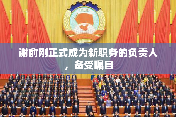 谢俞刚正式成为新职务的负责人，备受瞩目