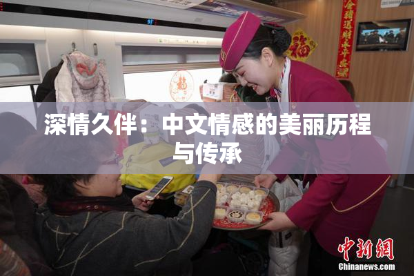 深情久伴：中文情感的美丽历程与传承