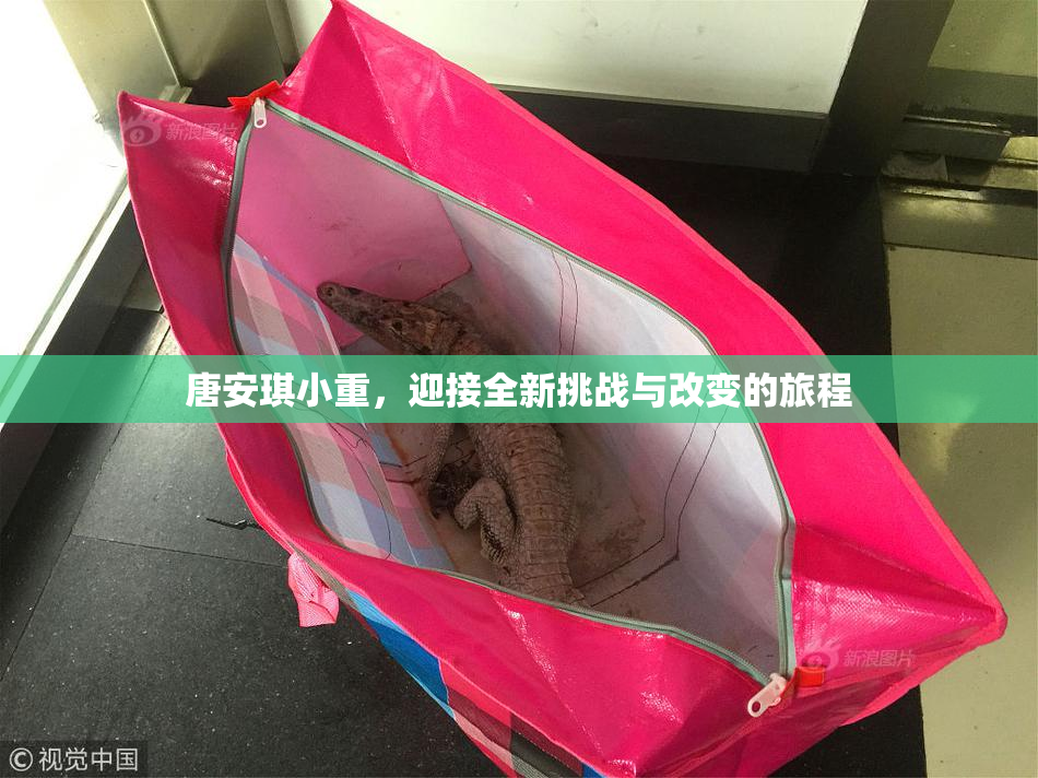 唐安琪小重，迎接全新挑战与改变的旅程