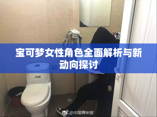 宝可梦女性角色全面解析与新动向探讨
