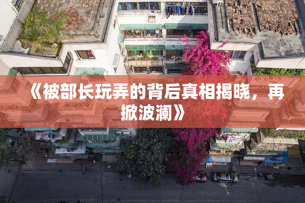 《被部长玩弄的背后真相揭晓，再掀波澜》