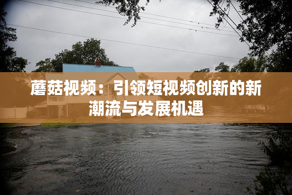蘑菇视频：引领短视频创新的新潮流与发展机遇