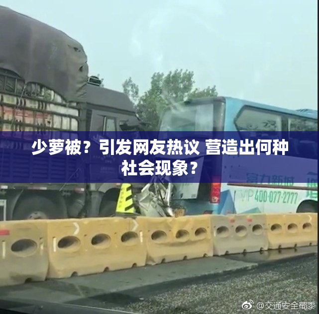 少萝被？引发网友热议 营造出何种社会现象？
