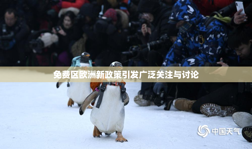 免费区欧洲新政策引发广泛关注与讨论