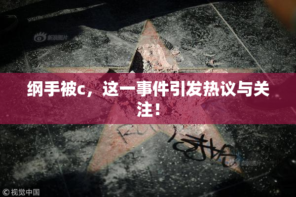 纲手被c，这一事件引发热议与关注！