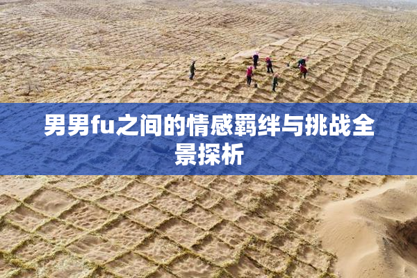 男男fu之间的情感羁绊与挑战全景探析
