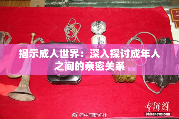 揭示成人世界：深入探讨成年人之间的亲密关系