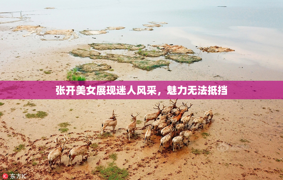 张开美女展现迷人风采，魅力无法抵挡