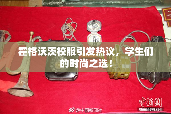 霍格沃茨校服引发热议，学生们的时尚之选！