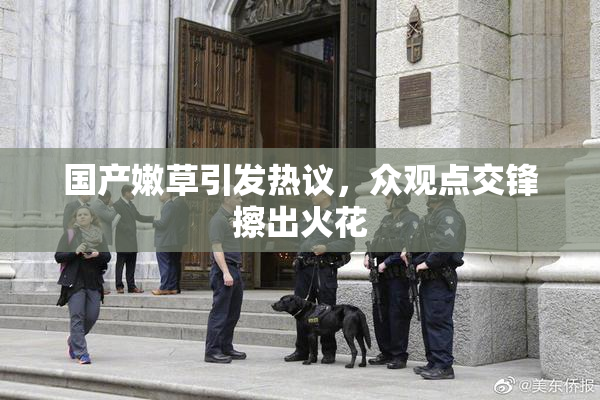 国产嫩草引发热议，众观点交锋擦出火花