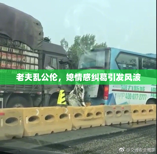 老夫乱公伦，媳情感纠葛引发风波