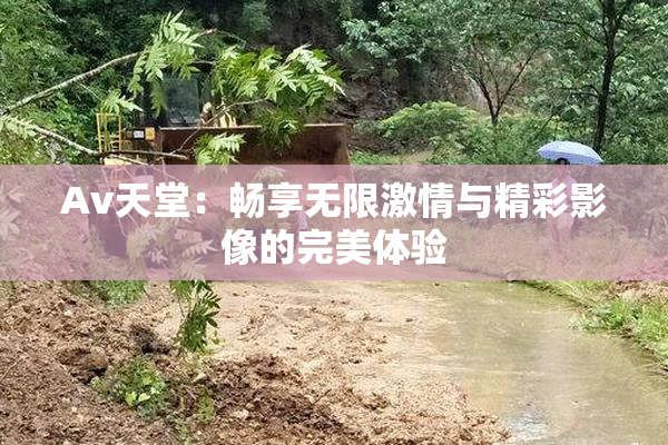 Av天堂：畅享无限激情与精彩影像的完美体验