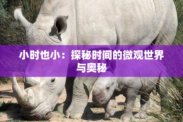 小时也小：探秘时间的微观世界与奥秘