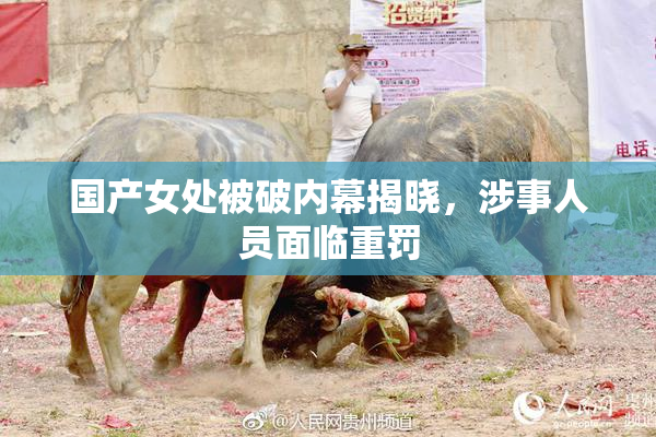 国产女处被破内幕揭晓，涉事人员面临重罚