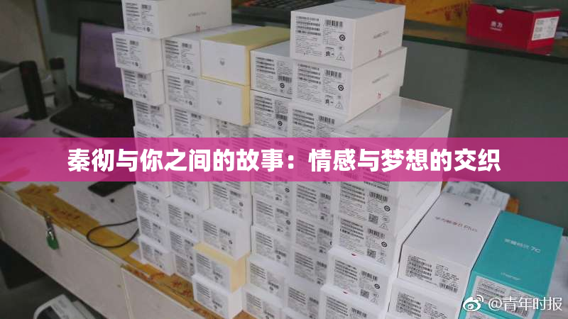 秦彻与你之间的故事：情感与梦想的交织