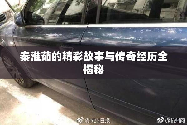 秦淮茹的精彩故事与传奇经历全揭秘