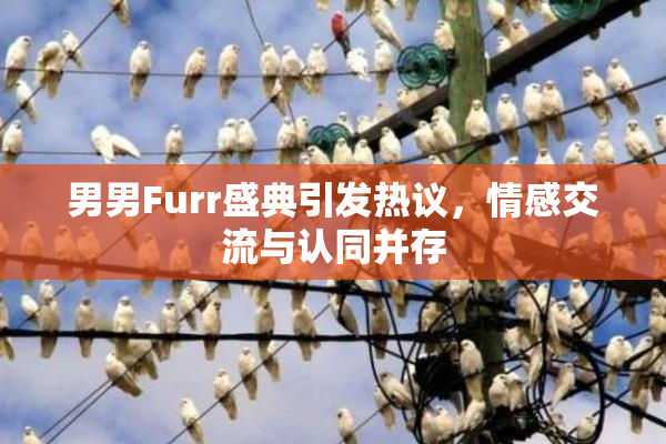 男男Furr盛典引发热议，情感交流与认同并存