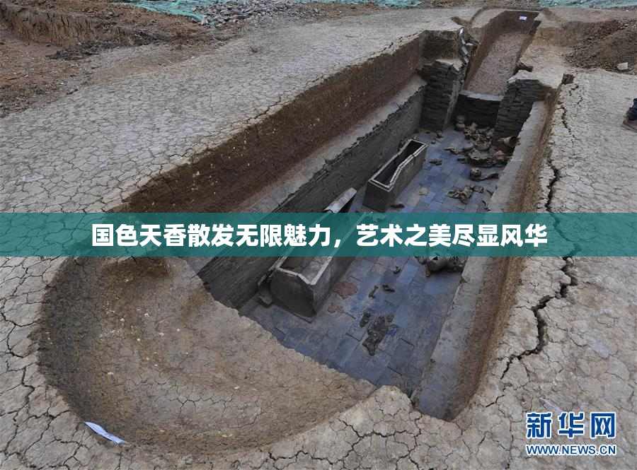 国色天香散发无限魅力，艺术之美尽显风华