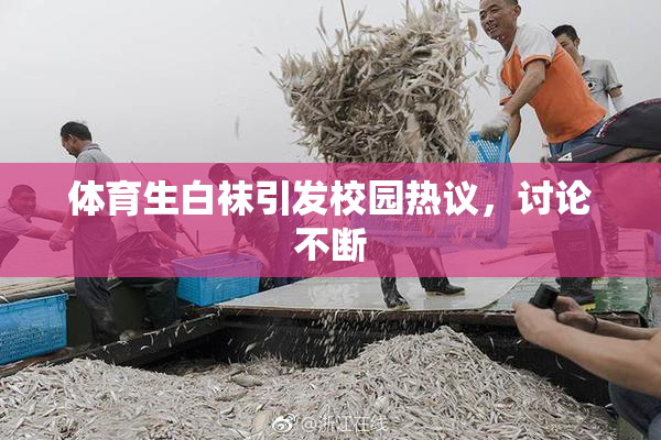体育生白袜引发校园热议，讨论不断