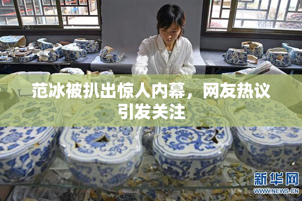 范冰被扒出惊人内幕，网友热议引发关注
