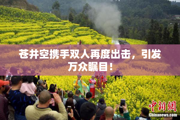 苍井空携手双人再度出击，引发万众瞩目！
