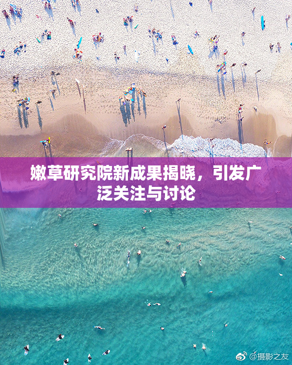 嫩草研究院新成果揭晓，引发广泛关注与讨论