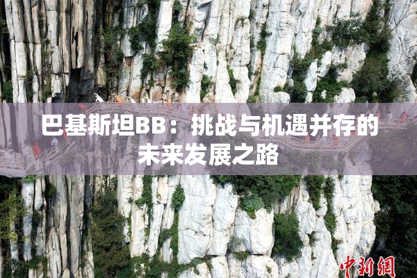巴基斯坦BB：挑战与机遇并存的未来发展之路