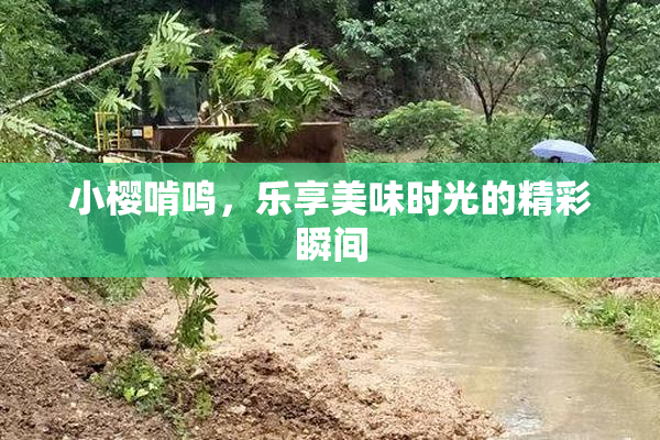 小樱啃鸣，乐享美味时光的精彩瞬间