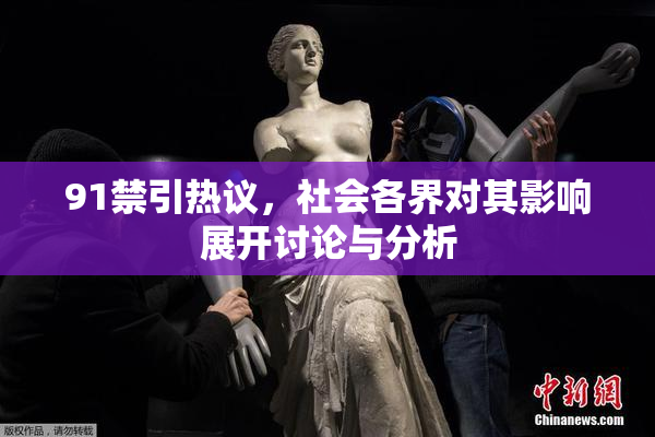 91禁引热议，社会各界对其影响展开讨论与分析