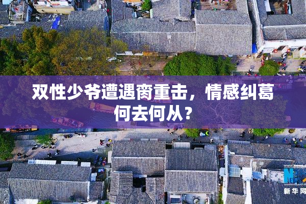 双性少爷遭遇脔重击，情感纠葛何去何从？