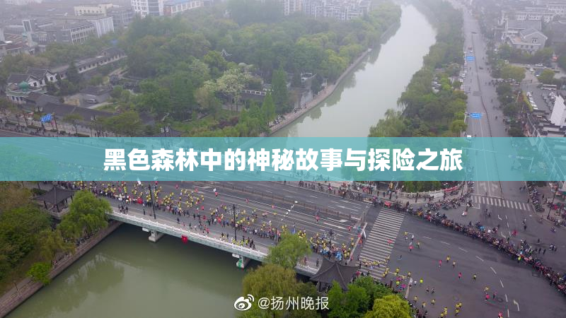黑色森林中的神秘故事与探险之旅