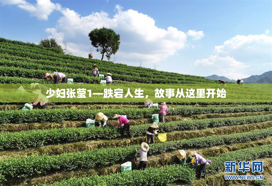 少妇张莹1—跌宕人生，故事从这里开始