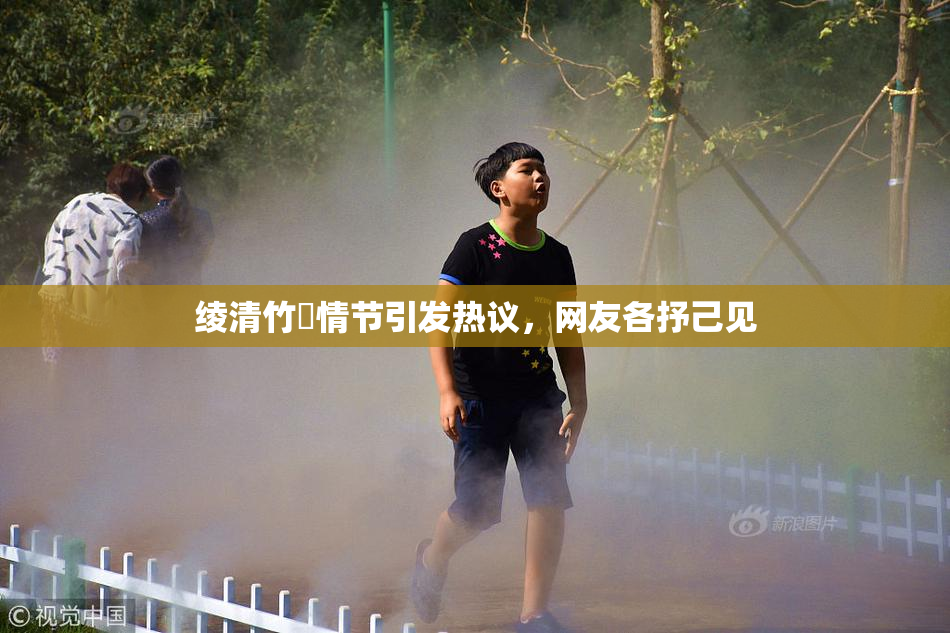 绫清竹婬情节引发热议，网友各抒己见