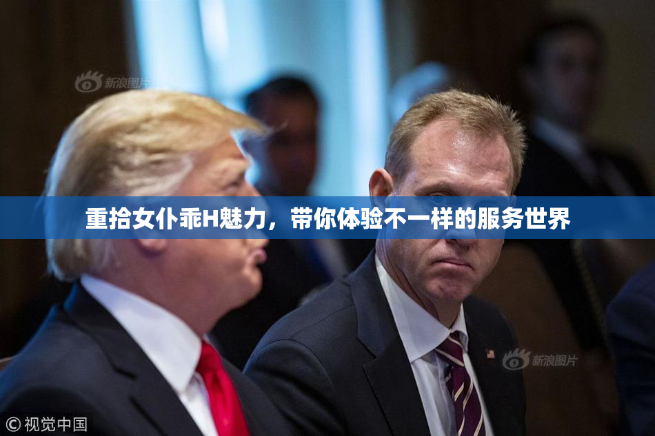 重拾女仆乖H魅力，带你体验不一样的服务世界