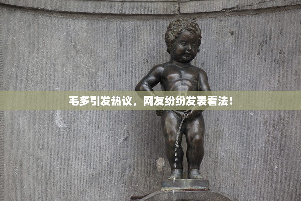 毛多引发热议，网友纷纷发表看法！