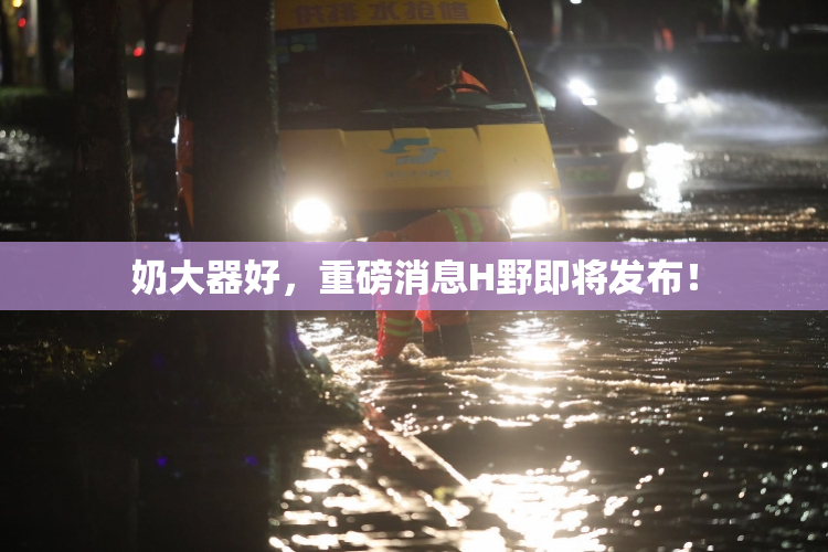 奶大器好，重磅消息H野即将发布！