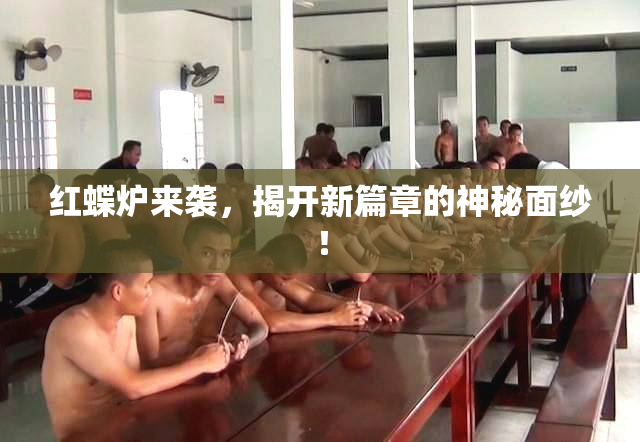 红蝶炉来袭，揭开新篇章的神秘面纱！