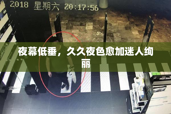 夜幕低垂，久久夜色愈加迷人绚丽