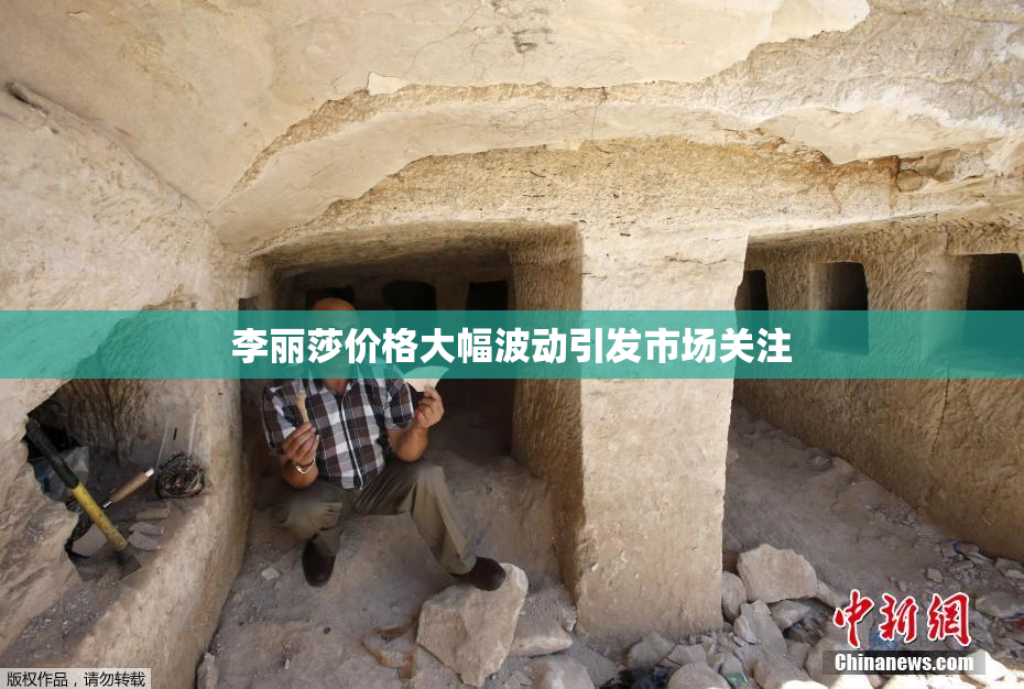 李丽莎价格大幅波动引发市场关注