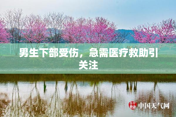 男生下部受伤，急需医疗救助引关注