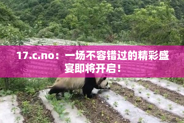 17.c.no：一场不容错过的精彩盛宴即将开启！