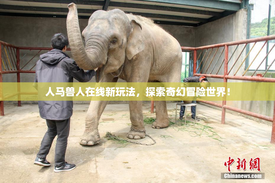 人马兽人在线新玩法，探索奇幻冒险世界！