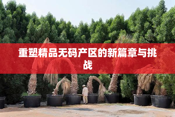 重塑精品无码产区的新篇章与挑战