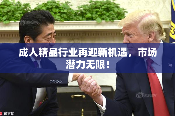 成人精品行业再迎新机遇，市场潜力无限！