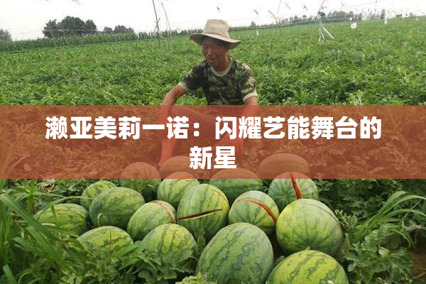 濑亚美莉一诺：闪耀艺能舞台的新星